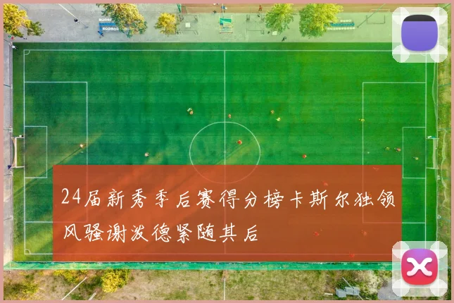 24届新秀季后赛得分榜卡斯尔独领风骚谢泼德紧随其后