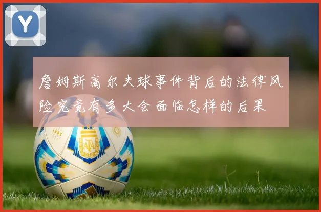 詹姆斯高尔夫球事件背后的法律风险究竟有多大会面临怎样的后果